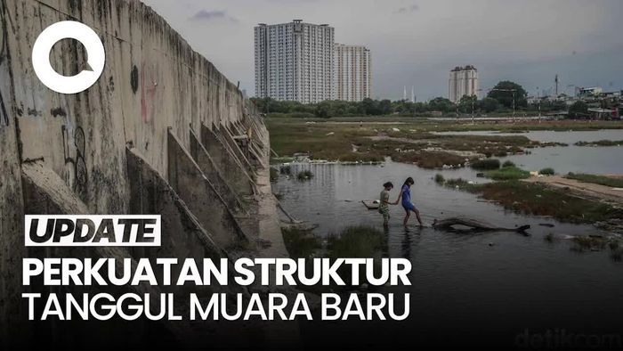Video: Rencana DKI Perkuat Struktur Tanggul Muara Baru di 2026