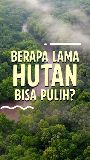 Video: Perlu Waktu 100 Tahun Bagi Hutan Kembali ke Ekosistem Awal