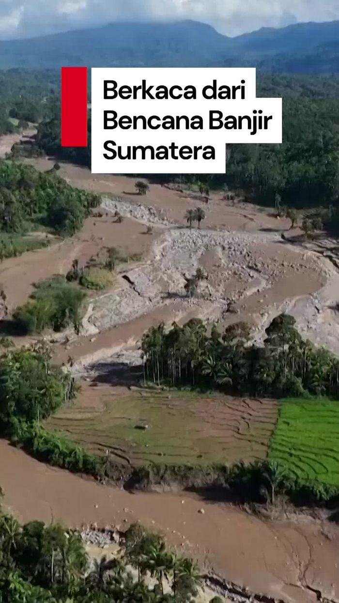 Video Pakar Lingkungan: Monokultur Boleh, Tapi Ada Syaratnya