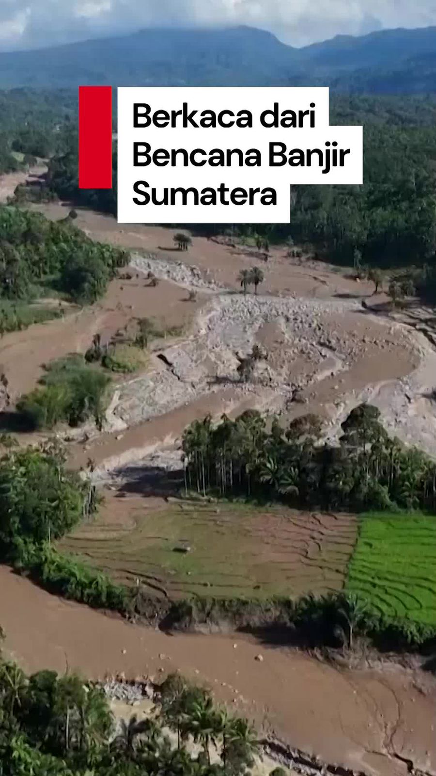 Video Pakar Lingkungan: Monokultur Boleh, Tapi Ada Syaratnya