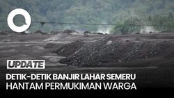 Video Detik-detik Banjir Lahar Semeru Meluap ke Permukiman Warga