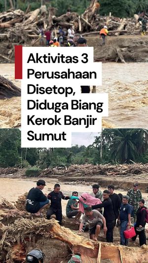 Video: Menteri LH Setop Aktivitas 3 Perusahaan Diduga Penyebab Banjir Sumut