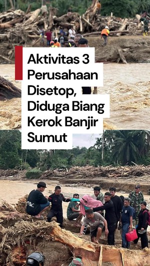 Video: Menteri LH Setop Aktivitas 3 Perusahaan Diduga Penyebab Banjir Sumut