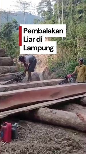 Video Pembalakan Liar di Lampung Bikin Warga Resah, Polisi Selidiki