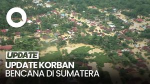 Video Korban Bencana Sumatera: 916 Meninggal, 274 Hilang