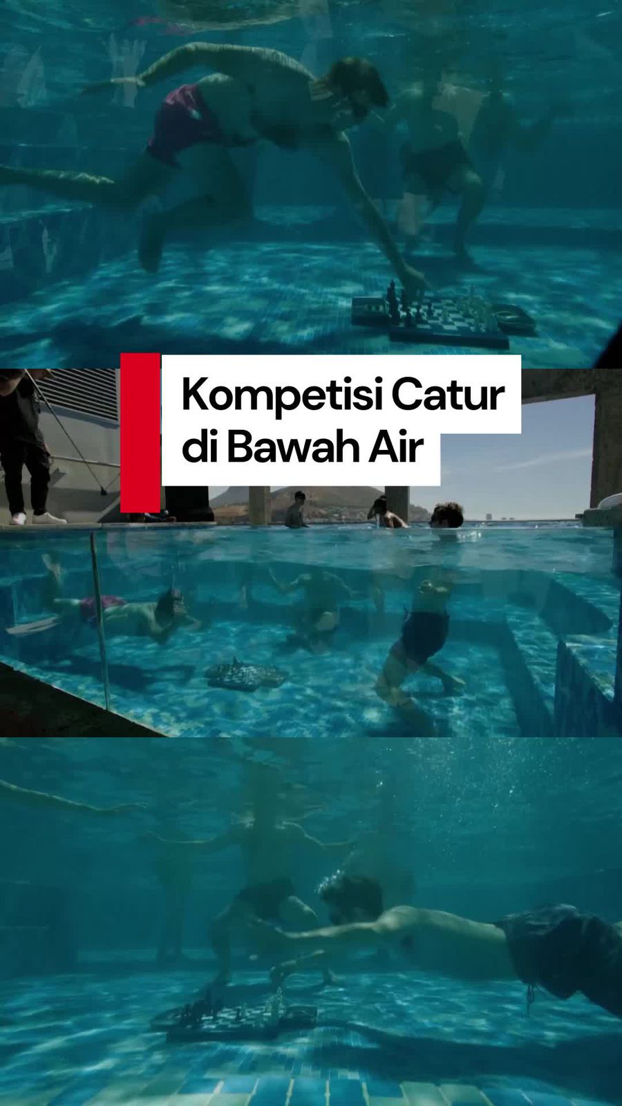 Video: Uniknya Gelaran Turnamen Catur Selam di Afrika Selatan