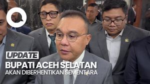 Video Dasco Minta Kemendagri Berhentikan Sementara Bupati Aceh Selatan