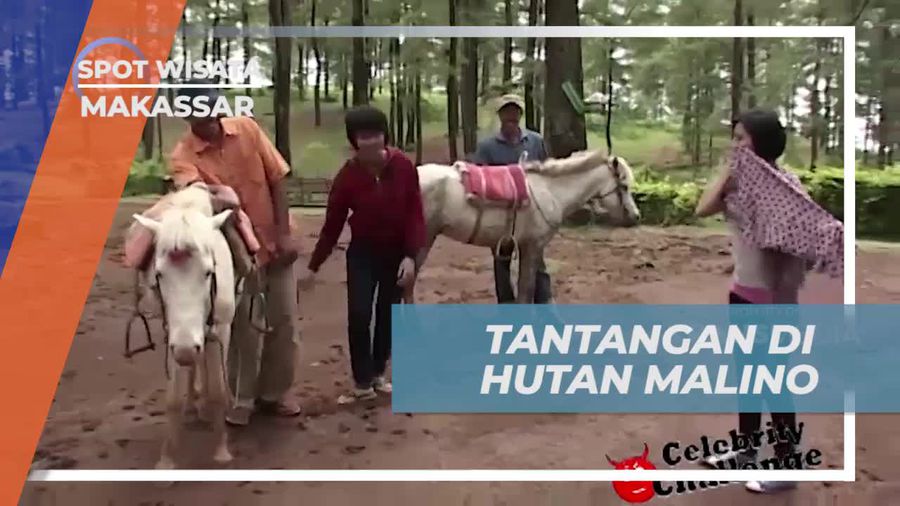Mengikuti Tantangan Menarik Menunggang Kuda dan Menemukan Pemilik Warung di Hutan Malino, Makassar  