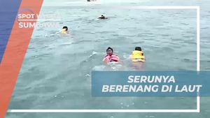 Menyelami Keindahan Laut dan Pulau Kecil yang Mempesona di Sumbawa  