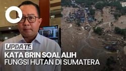 Video: BRIN Kaji Alih Fungsi Hutan Jadi Kelapa Sawit di Sumatera 