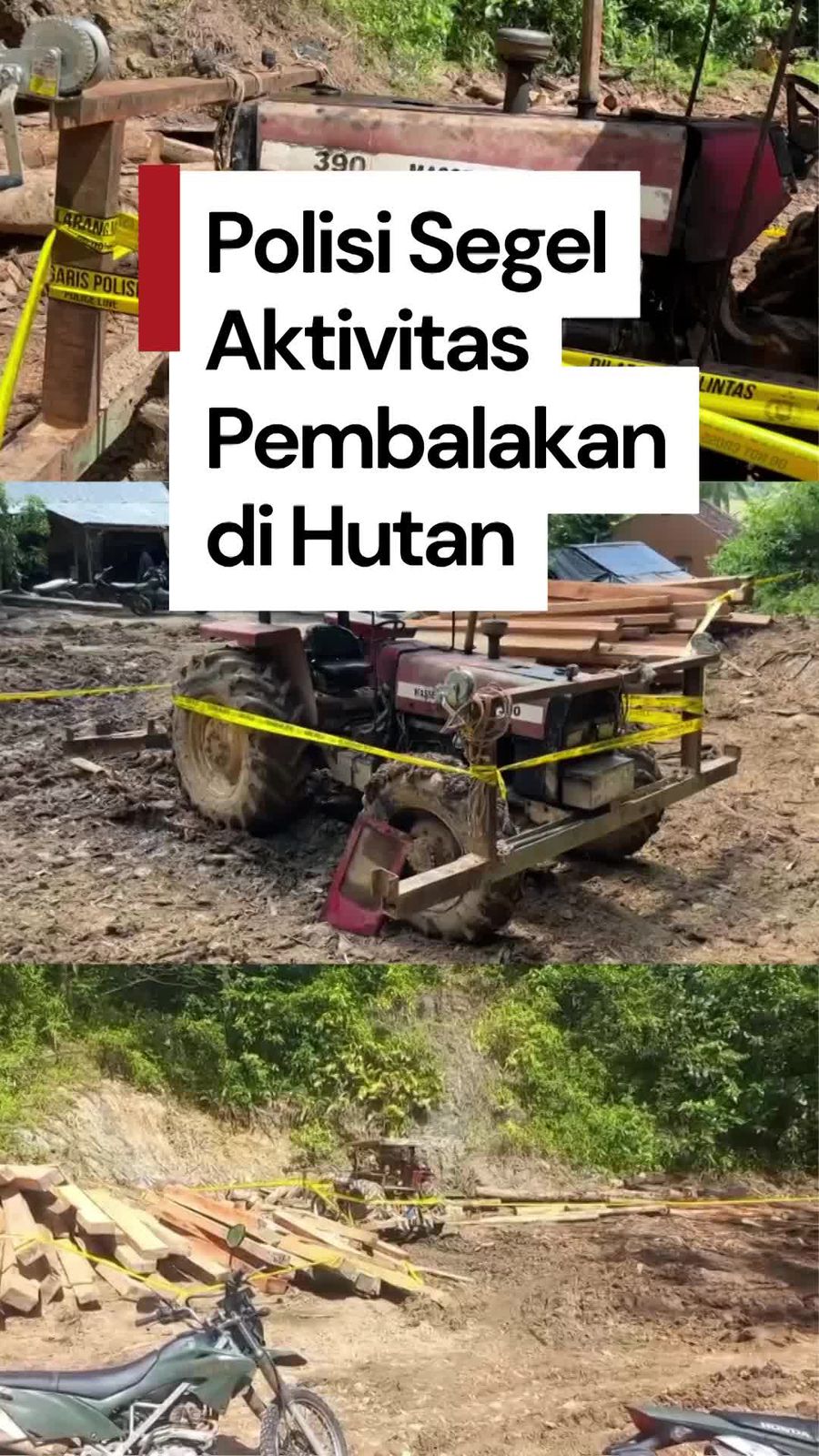 Video: Ada Pembalakan Hutan di Lampung, Polisi Turun Tangan