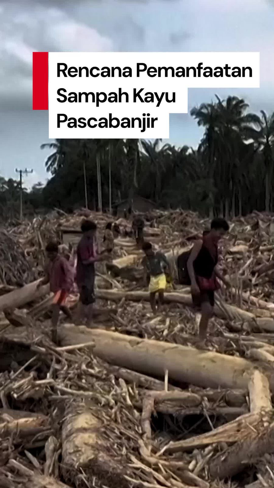 Video: Menteri LH Ingin Sampah Kayu Gelondongan Banjir Sumatera Dimanfaatkan