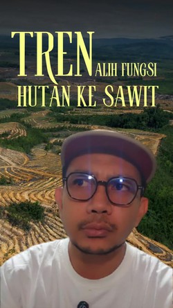 Video: Ketika Hutan Ditukar Sawit, Siapa yang Untung?