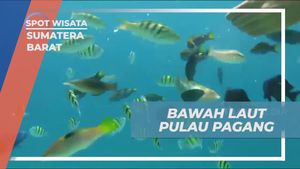 Melakukan Snorkeling Seru di Pulau Pagang, Sumatera Barat