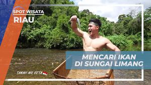 Mencari Ikan di Sungai Limang Bersama Selebriti di Riau