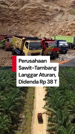 Video: Denda Perusahaan Sawit-Tambang yang Langgar Aturan Capai Rp 38 T