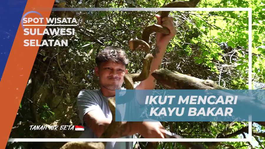 Berbagi Pengalaman Seru Mencari Kayu Bakar Bersama Warga di Desa Kading, Sulawesi Selatan