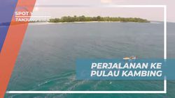 Menyelami Keindahan Pulau Kambing dan Melakukan Snorkeling di Sekitarnya, Tanjung Bira
