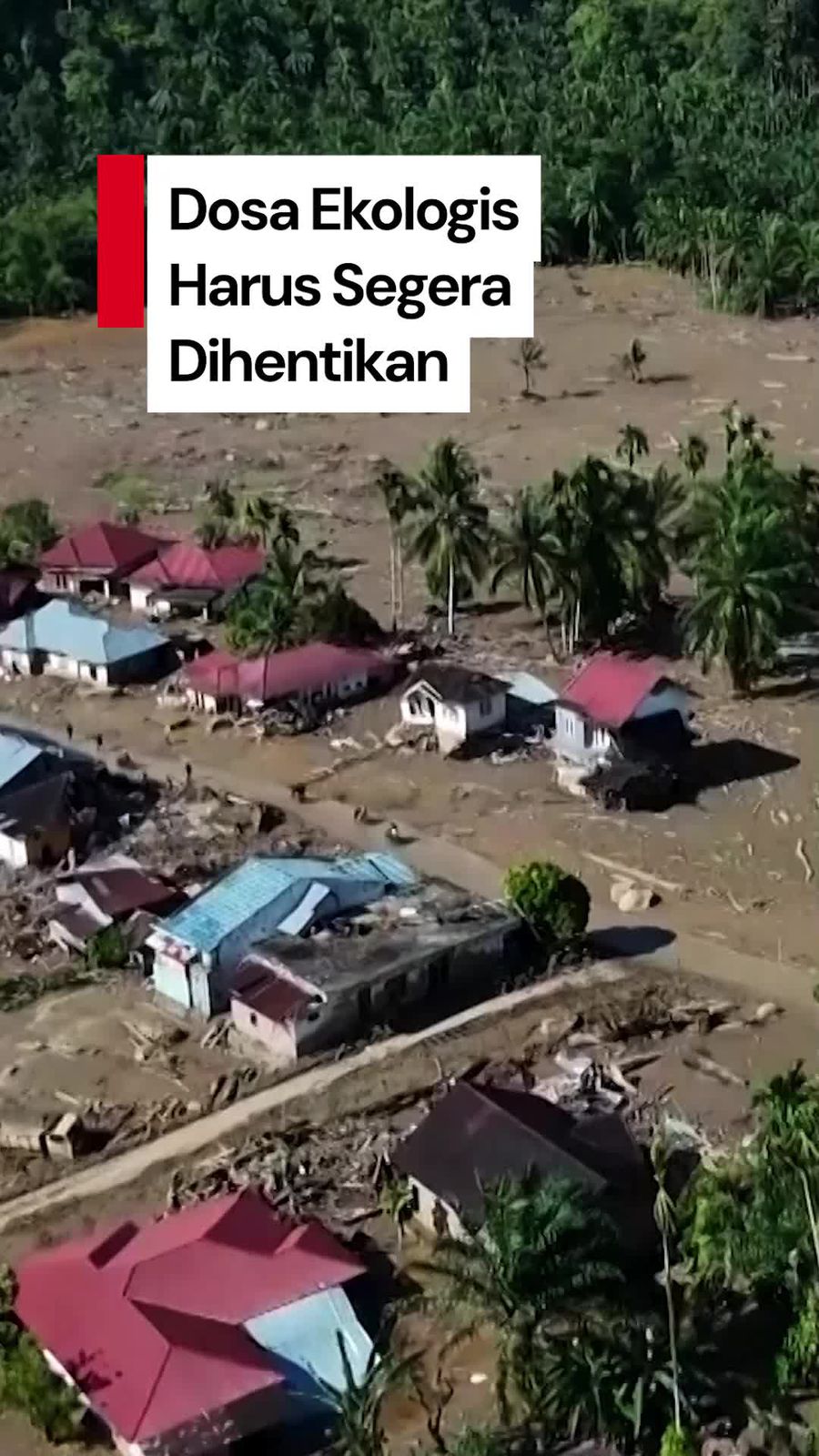 Video Pakar Kehutanan ke Kontributor Dosa Ekologis: Sudah Saatnya Berhenti