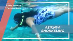 Mengagumi Pesona Bawah Laut Tanjung Bira Saat Melakukan Snorkeling Bersama Ikan Kecil yang Lucu