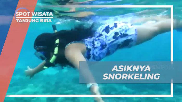 Mengagumi Pesona Bawah Laut Tanjung Bira Saat Melakukan Snorkeling Bersama Ikan Kecil yang Lucu
