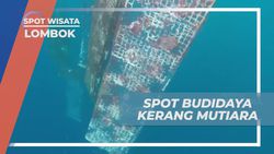 Menyelami Keindahan Spot Budidaya Kerang Mutiara dan Mengamati Proses di Laut Lombok