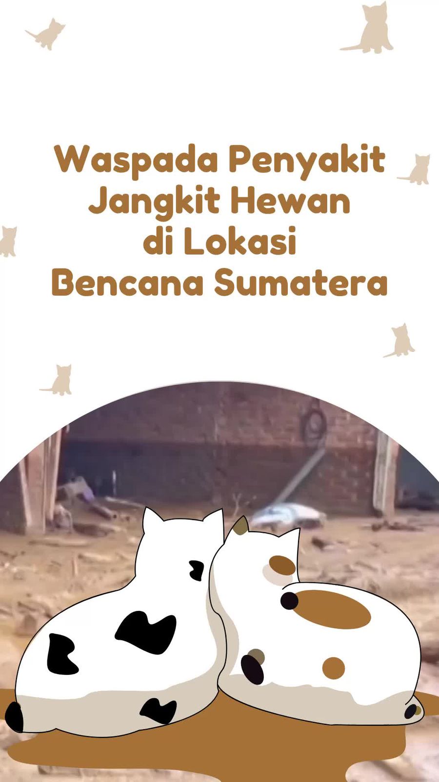 Video: Ancaman Penyakit Intai Hewan-hewan di Lokasi Bencana Sumatera