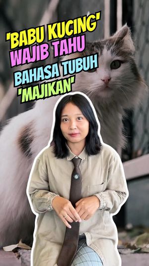 Video: Memahami Bahasa Tubuh Kucing