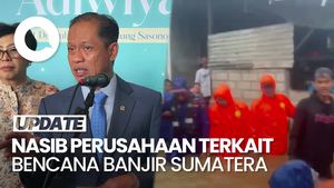 Video Nasib 8 Perusahaan Terkait Banjir Sumatera: 4 Dihentikan, 4 Lagi Tidak