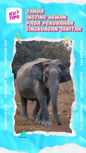 Video KuTips: Tanda-tanda Respons Hewan pada Perubahan Lingkungan