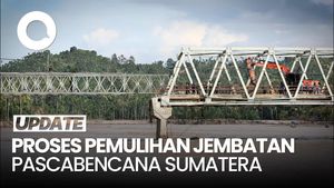 Video: BNPB Ungkap Progres Pemulihan Jembatan Pascabencana Sumatera