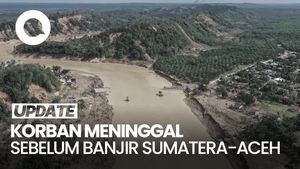 Video: BNPB Ungkap Ada Korban Meninggal Sebelum Banjir Sumatera Ikut Ditemukan
