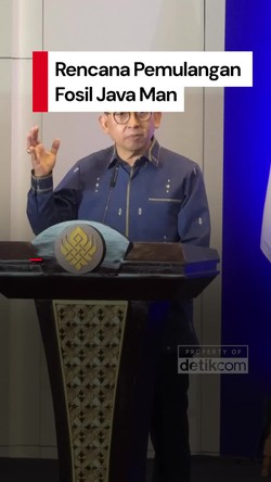 Video: Fosil Java Man Bakal Kembali ke Indonesia 17 Desember 2025