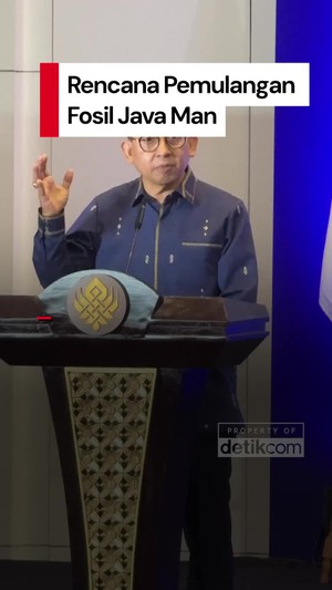Video: Fosil Java Man Bakal Kembali ke Indonesia 17 Desember 2025