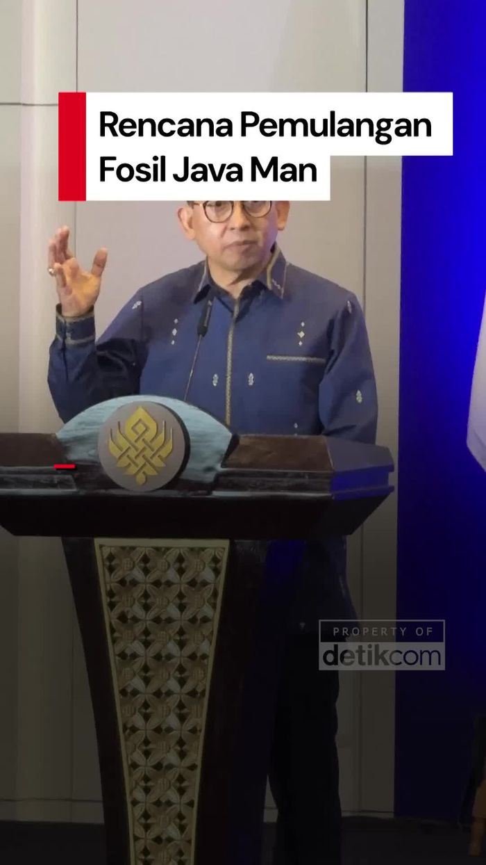 Video: Fosil Java Man Bakal Kembali ke Indonesia 17 Desember 2025