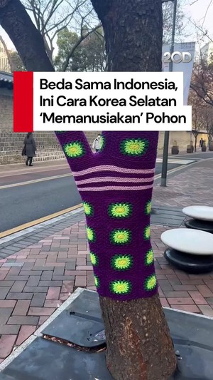Video Cara Korea Selatan Rawat Pohon Bikin Netizen +62 Auto Banding-bandingin