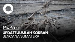 Video Update Korban Bencana Sumatera: 1.030 Meninggal-206 Hilang