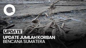 Video Update Korban Bencana Sumatera: 1.030 Meninggal-206 Hilang