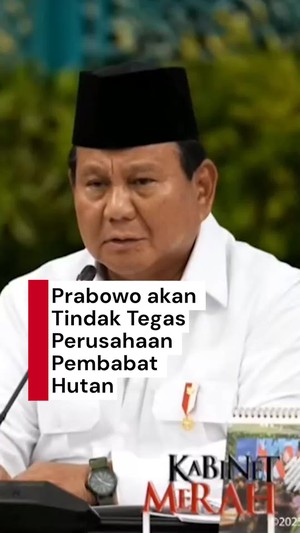 Video: Prabowo Minta Menhut Tak Ragu Cabut Izin Perusahaan Pembabat Hutan