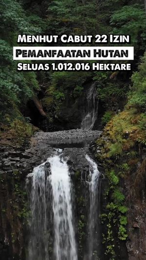 Video: Raja Juli Cabut 22 Izin Pemanfaatan Hutan Seluas 1.012.016 Hektare