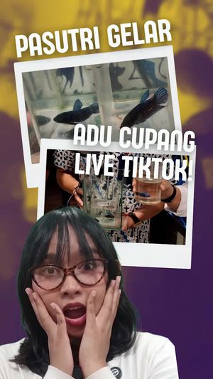 Video Modus Baru Judol di Sumsel: Pasutri Gelar Adu Cupang Live TikTok