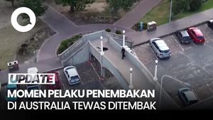 Video Detik-detik 2 Pelaku Penembakan di Australia Dilumpuhkan