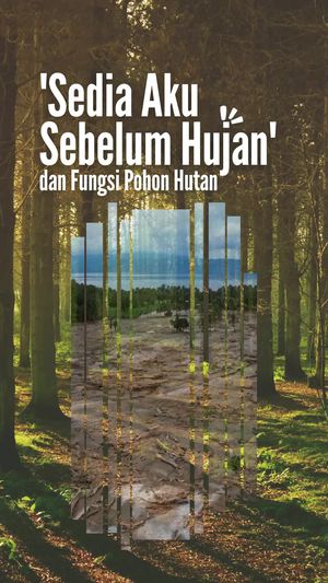 Video: Lirik Sedia Aku Sebelum Hujan Cocok Banget ke Fungsi Pohon Hutan