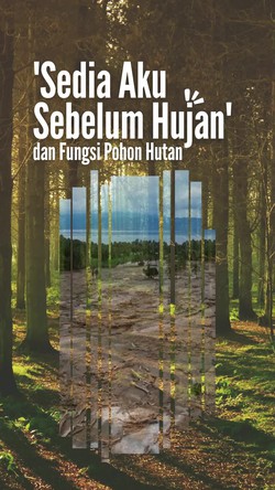 Video: Lirik Sedia Aku Sebelum Hujan Cocok Banget ke Fungsi Pohon Hutan