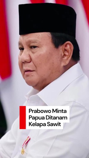 Video Prabowo Mau Papua Harus Ditanam Kelapa Sawit untuk BBM