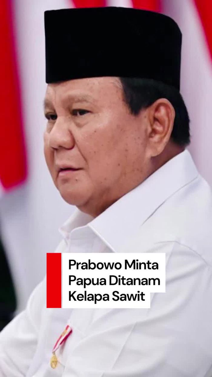 Video Prabowo Mau Papua Harus Ditanam Kelapa Sawit untuk BBM