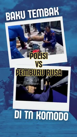 Video Dar Der Dor! Baku Tembak Polisi Vs Pemburu Rusa di TN Komodo