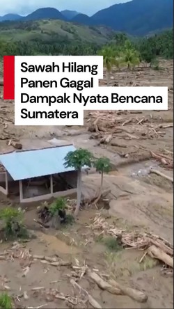 Video: Bencana Sumatera Bikin 70 Ribu Hektare Sawah Gagal Panen