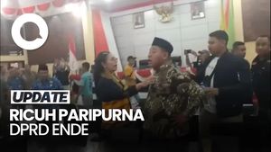 Video Ricuh Paripurna DPRD Ende, Bupati Dievakuasi-Lambang Garuda Kena Lempar
