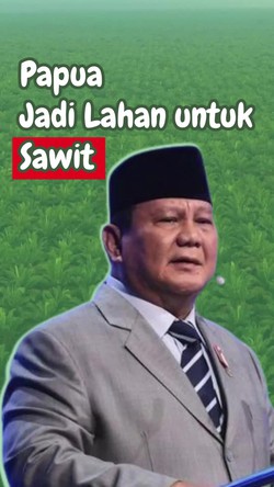 Video: Demi Swasembada Energi, Papua Akan Ditanami Sawit